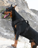 No Pull Reflective Dog Harness Adjustable Walking Pet Vest Harness, Breathable Anti-Pull Dog Harness for Medium Large Dogs Outdoor Training - Image 3