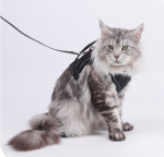 Tactical Camo Cat Harness with Top Handle, Reflective Escape Proof Adjustable Large Cat Walking Vest with Patch Panel - Image 4