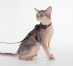 H-Shape Escape Proof Cat Harness Leash Set, Compatible with GPS Tracker, Reflective Adjustable Kitten Walking Vest Harness - Image 6