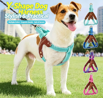 Dog Harness