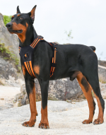 No Pull Reflective Dog Harness Adjustable Walking Pet Vest Harness, Breathable Anti-Pull Dog Harness for Medium Large Dogs Outdoor Training - Image 5