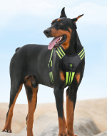 No Pull Reflective Dog Harness Adjustable Walking Pet Vest Harness, Breathable Anti-Pull Dog Harness for Medium Large Dogs Outdoor Training - Image 4