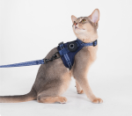 H-Shape Escape Proof Cat Harness Leash Set, Compatible with GPS Tracker, Reflective Adjustable Kitten Walking Vest Harness - Image 5