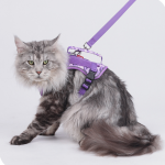 Tactical Camo Cat Harness with Top Handle, Reflective Escape Proof Adjustable Large Cat Walking Vest with Patch Panel - Image 7