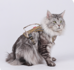 Tactical Camo Cat Harness with Top Handle, Reflective Escape Proof Adjustable Large Cat Walking Vest with Patch Panel - Image 6